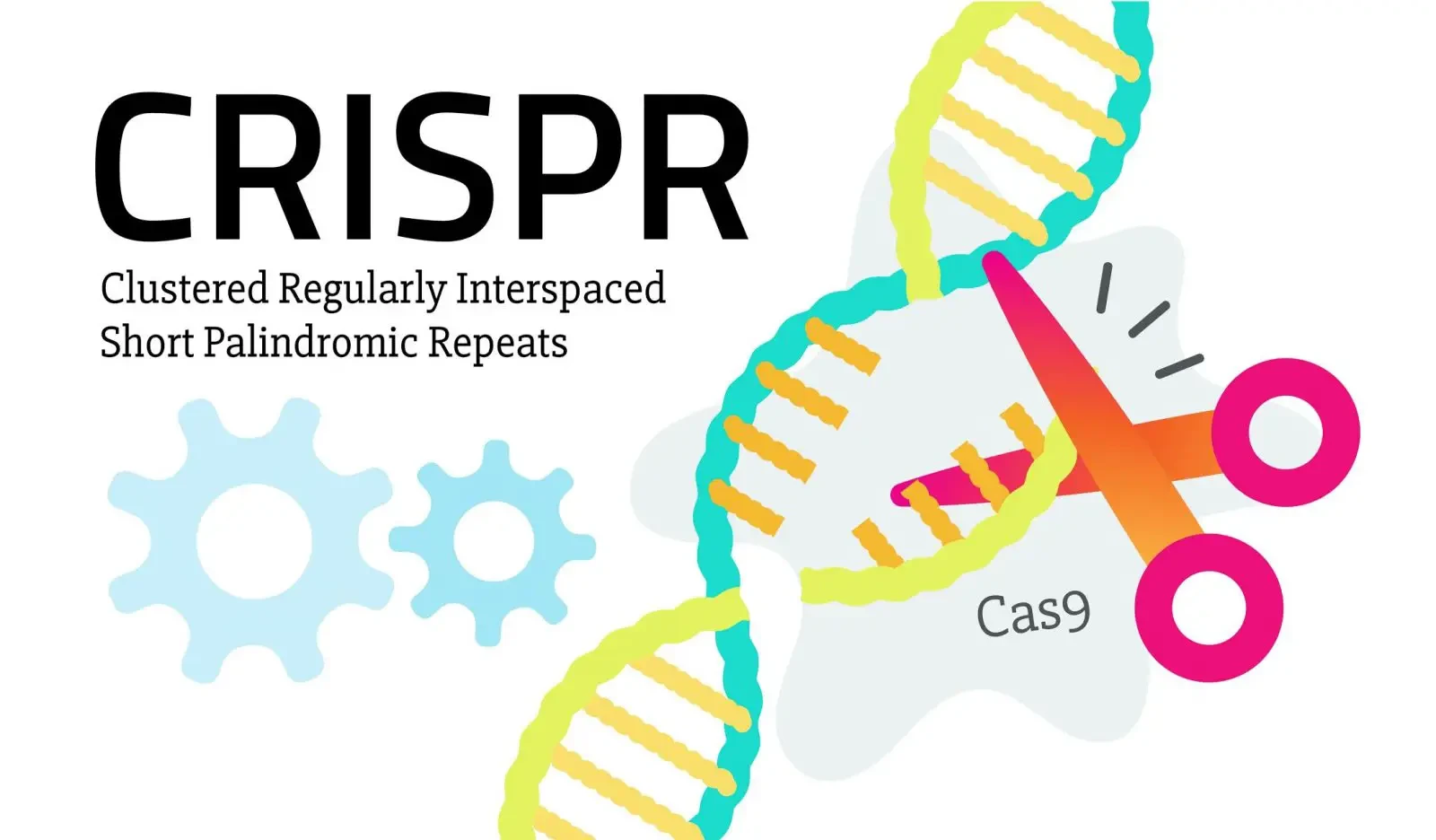 CRISPR Technology: Editing the Code of Life
